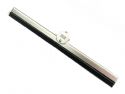 german_quality_silver_wiper_blade_beetle