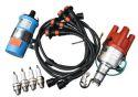 ignition_kit_009_with_beru_coil_1200cc-1600cc